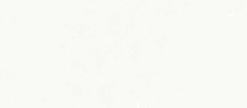 29021 银装素裹